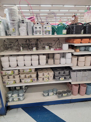 Discount Store «99 Cents Only Stores», reviews and photos, 4350 Callaghan Rd, San Antonio, TX 78228, USA