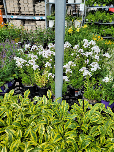 Home Improvement Store «The Home Depot», reviews and photos, 3080 US-34, Oswego, IL 60543, USA