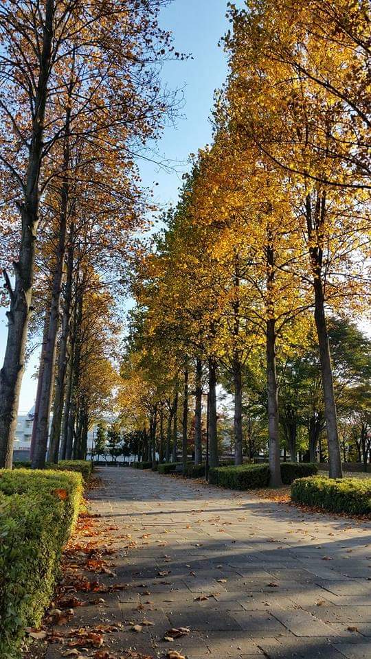 三郷文化公園 長野県安曇野市三郷明盛 公園 公園 グルコミ