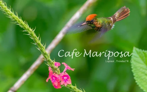 Cafe Mariposa Gardens image