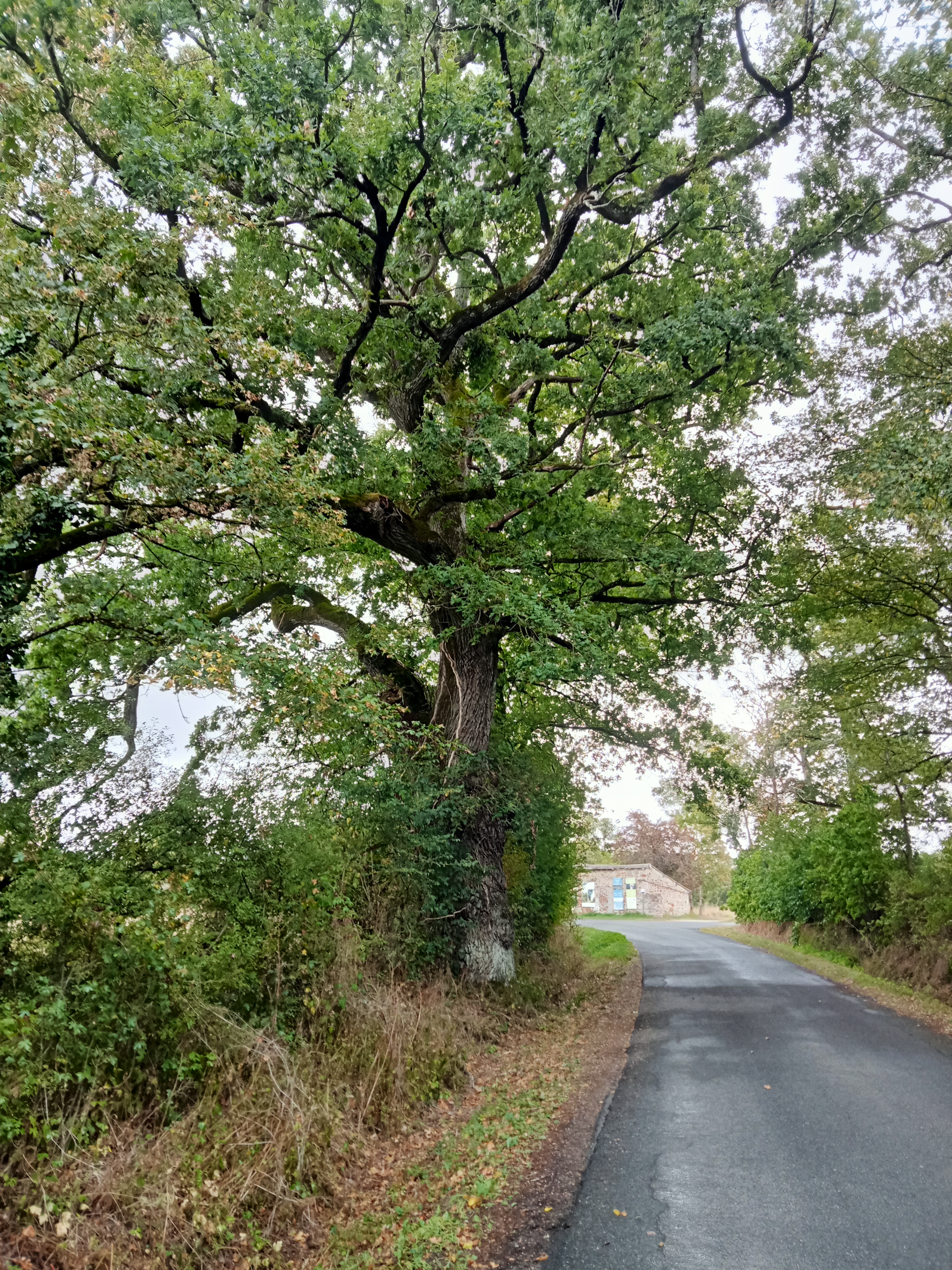 Photo n° 17 de l'avis de Marlène.a fait le 22/09/2023 à 22:10