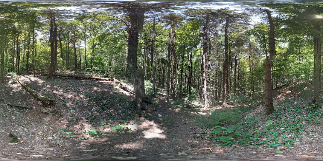 Finger Lakes Trail, Abbott Loop