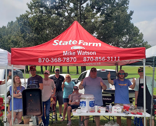 Insurance Agency «Mike Watson - State Farm Insurance Agent», reviews and photos