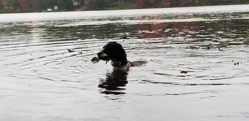 Park «Vietnam Veterans Park», reviews and photos, Treble Cove Rd, Billerica, MA 01821, USA