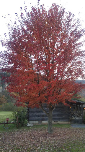 Resort «Smoke Hole Caverns», reviews and photos, 8290 N Fork Hwy, Cabins, WV 26855, USA