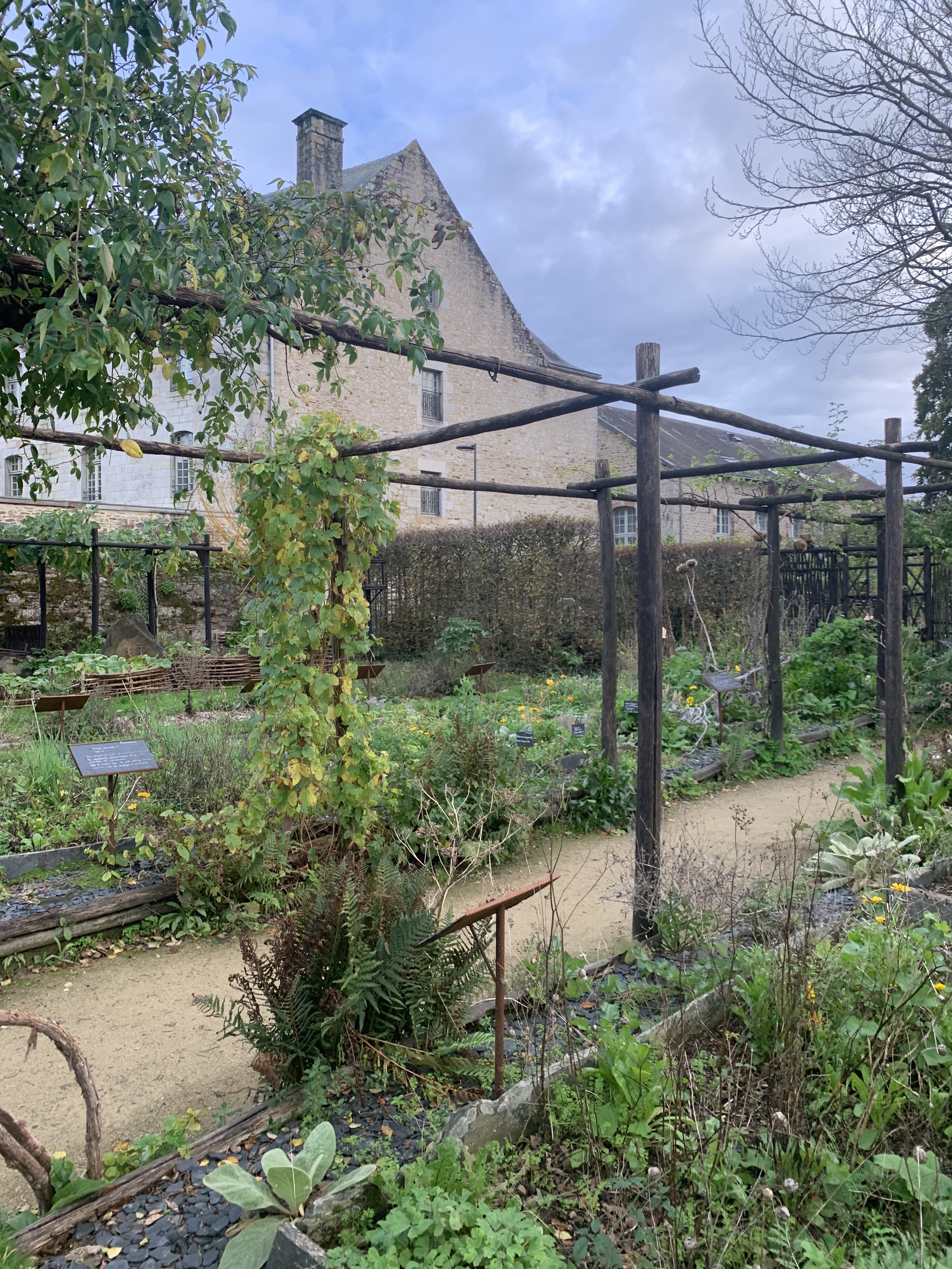Photo n° 8 de l'avis de Su.e fait le 26/10/2022 à 17:49