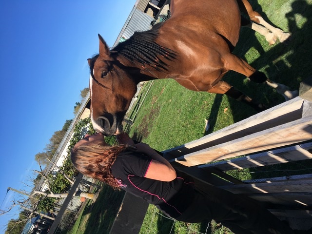 Atua Ara Horse Therapy