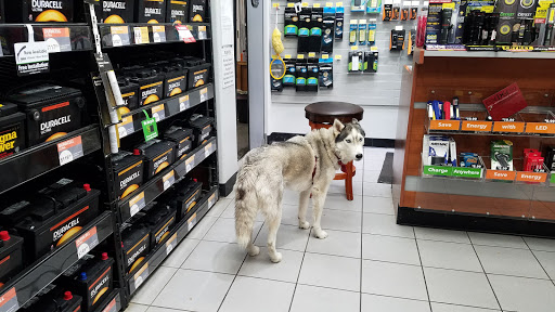 Car Battery Store «Batteries Plus Bulbs», reviews and photos, 2064 4th St, San Rafael, CA 94901, USA