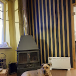 Photo n°1 de l'avis de Herrschaftszentrum. fait le 22/09/2018 à 19:08 sur le  Restaurant Küstenperle Heidkate à Wisch