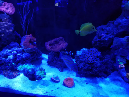 Pet Store «King of Corals», reviews and photos, 5702 Industry Ln, Frederick, MD 21704, USA