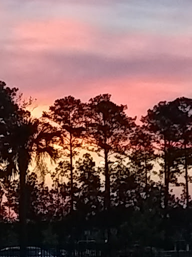 Supermarket «Walmart», reviews and photos, 265 Sea Island Pkwy, Beaufort, SC 29907, USA