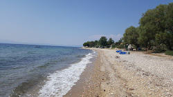 Photo de Romantic beach II et le règlement