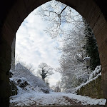 Photo n°1 de l'avis de Britta.a fait le 30/11/2023 à 12:18 sur le  Schaumburg Castle, Lower Saxony à Rinteln