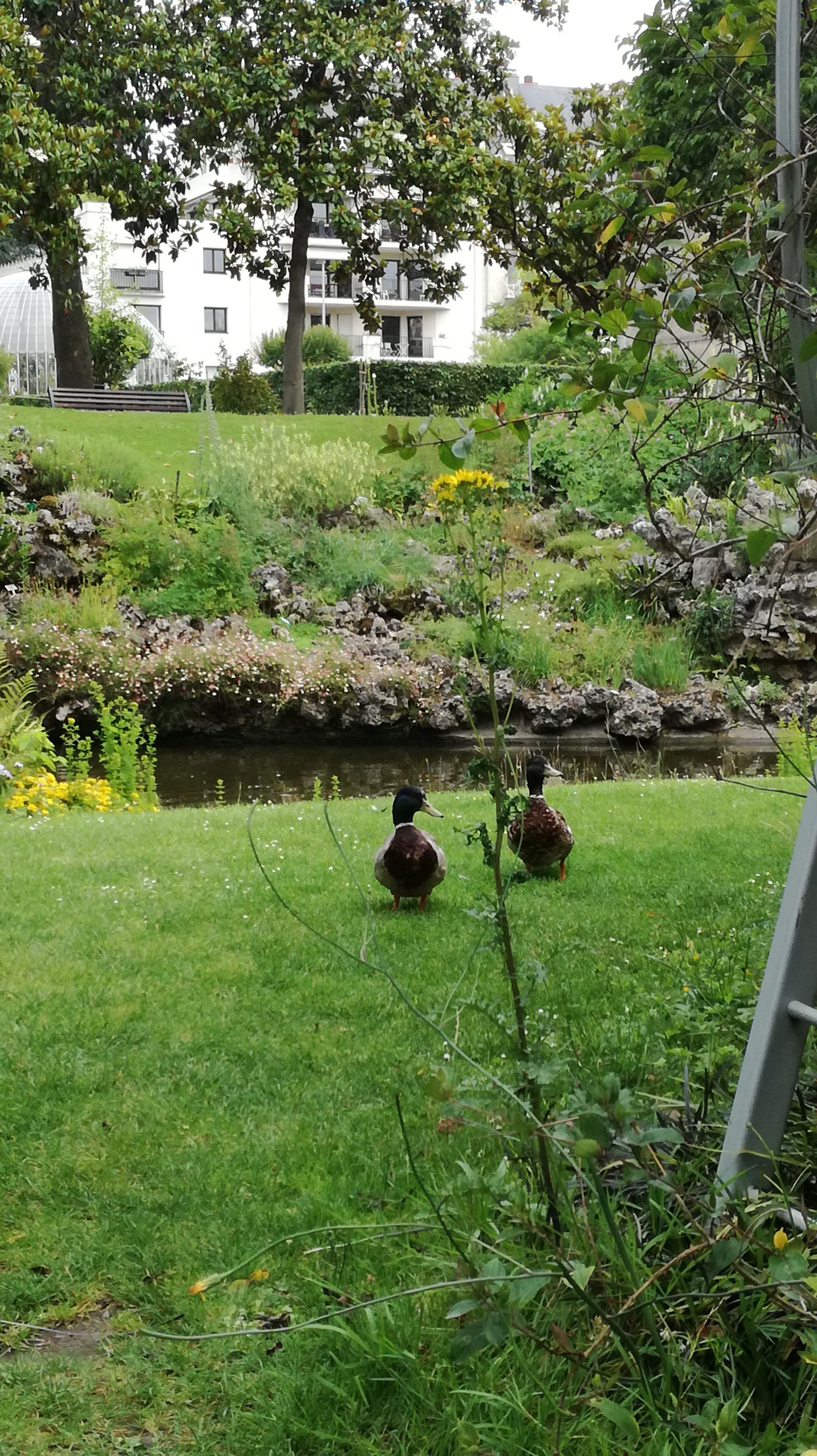 Photo n° 11 de l'avis de Benoit.O fait le 17/06/2018 à 10:29