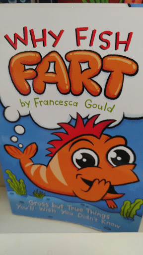 Toy Store «Learning Express», reviews and photos, 4425 Lyons Rd, Coconut Creek, FL 33073, USA