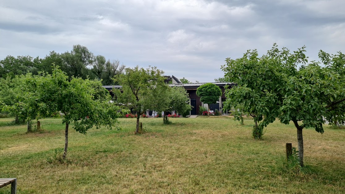 Domain moulin à Buding