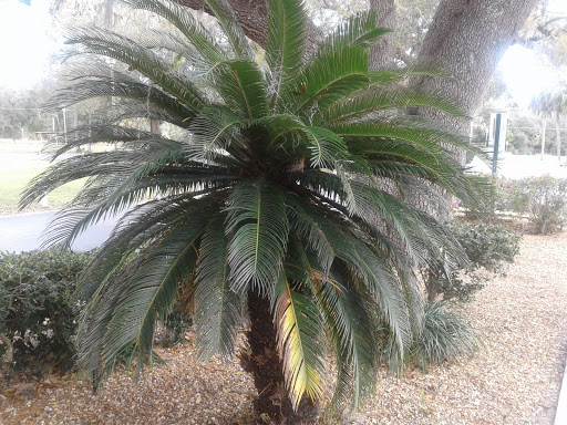 Community Center «Silver Springs Shores Community Center», reviews and photos, 590 Silver Rd, Ocala, FL 34472, USA