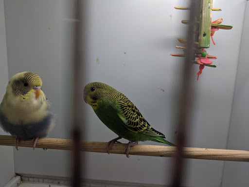 Pet Supply Store «Pet Supplies Plus», reviews and photos, 1240 Seminole Trail, Charlottesville, VA 22901, USA