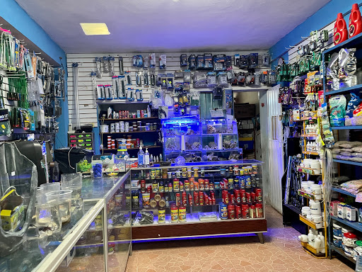 Tienda especializada en acuarios Mérida
