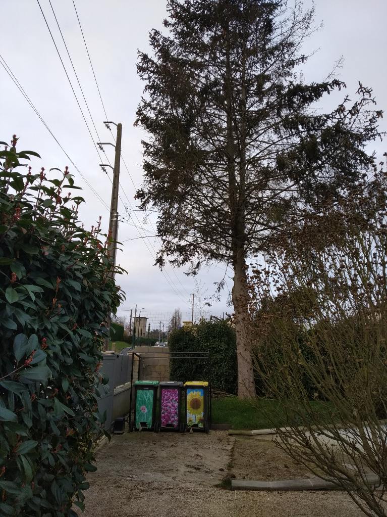 Photo n° 4 de l'avis de laurent.e fait le 07/03/2023 à 17:02