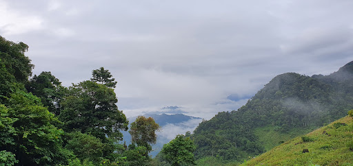 Top 20 cửa hàng ainosofia Huyện Mai Châu Hòa Bình 2022