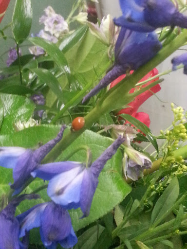 Florist «A & B Florist», reviews and photos, 908 S Cashua Dr, Florence, SC 29501, USA