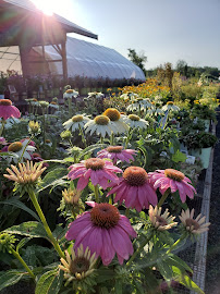 GreenScapes Garden Center & Landscape Co. - Photo 5 - Car repair in Whitesboro, NY, Utica