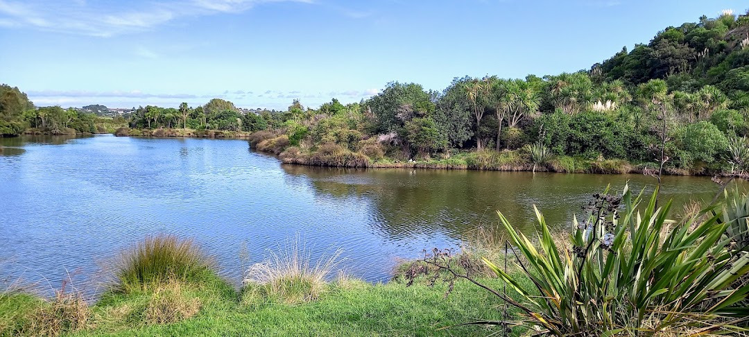 Tauranga, Yeni Zelanda