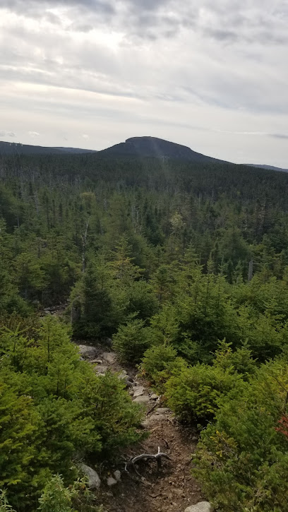 Murray's Peak Hiking Trail