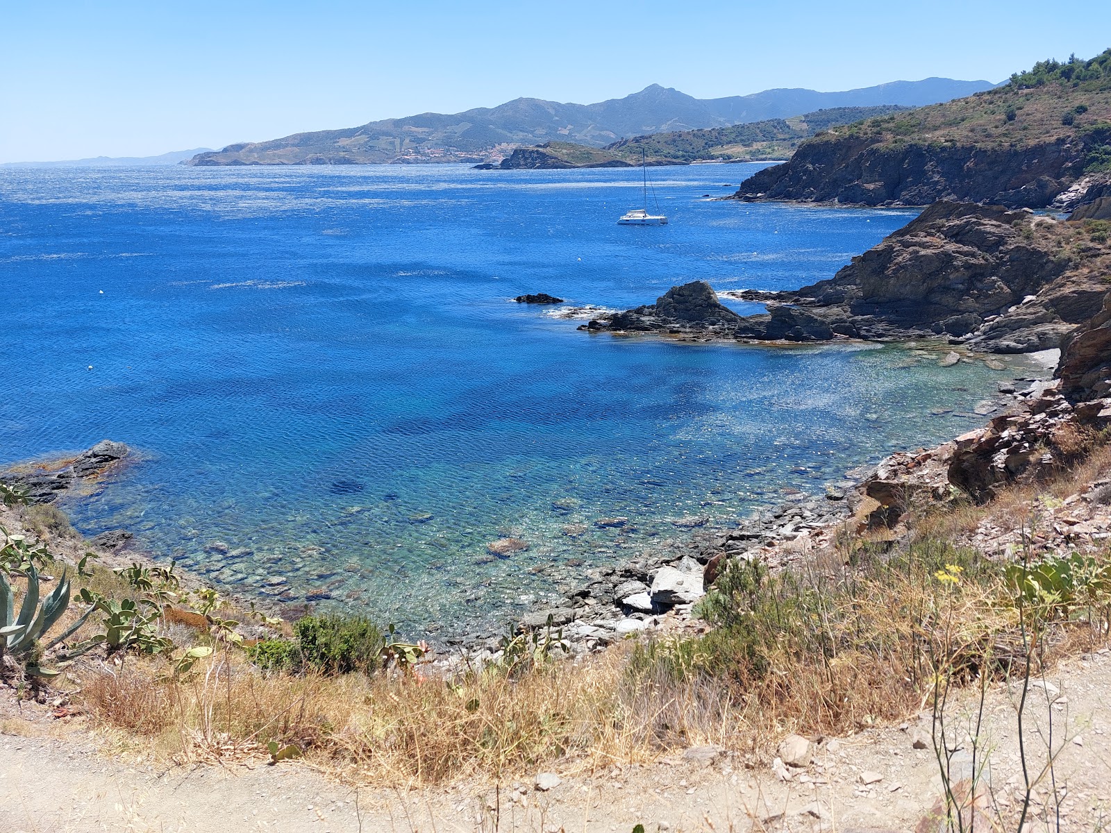 Plage Anse Sainte-Catherine'in fotoğrafı düz bir kıyı şeridi ile birlikte