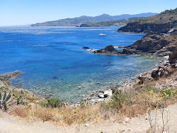 Plage Anse Sainte-Catherine'in fotoğrafı düz bir kıyı şeridi ile birlikte