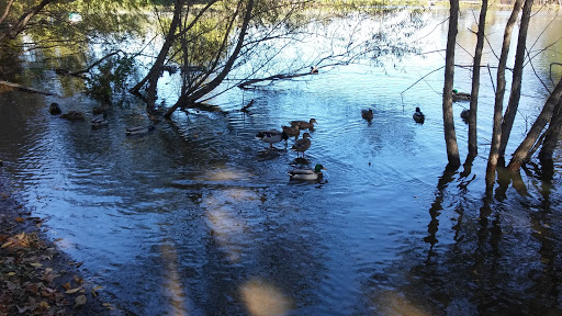 City Park «Krannert Park», reviews and photos, 605 South High School Road, Indianapolis, IN 46241, USA