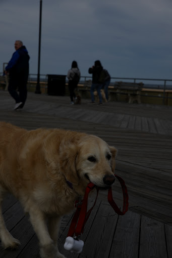 Historical Landmark «Asbury Park Casino», reviews and photos, 700 Ocean Ave, Asbury Park, NJ 07712, USA