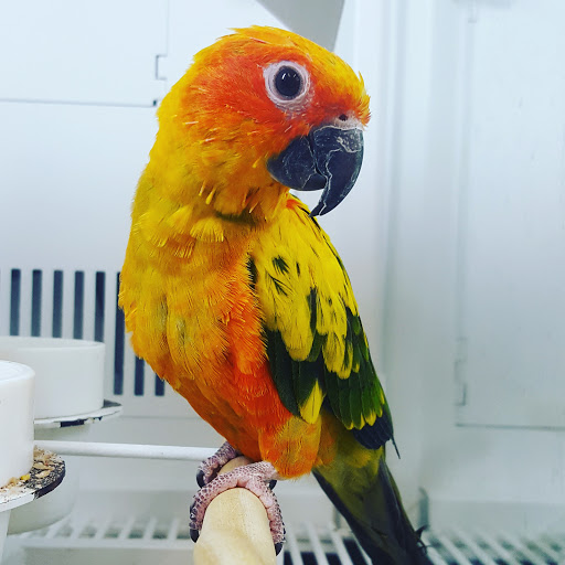 Pet Supply Store «Petco Animal Supplies», reviews and photos, 280 Kensington Blvd, Slidell, LA 70458, USA