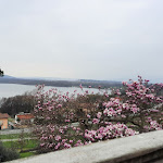 Photo n°5 de l'avis de Antonella.e fait le 15/03/2023 à 06:36 sur le  Cella Grande à Viverone