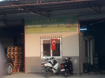 Uyar Muz Sarartma Tesisi