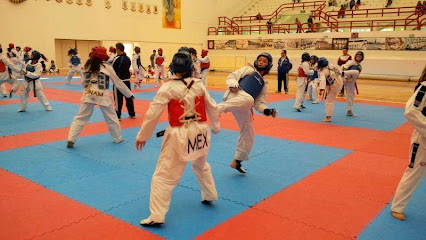 Escuela de Taekwondo Kyeongju Génesis Pachuca