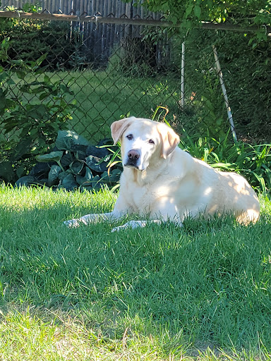 5 Hazel Dr, Hampstead, NH 03841, USA