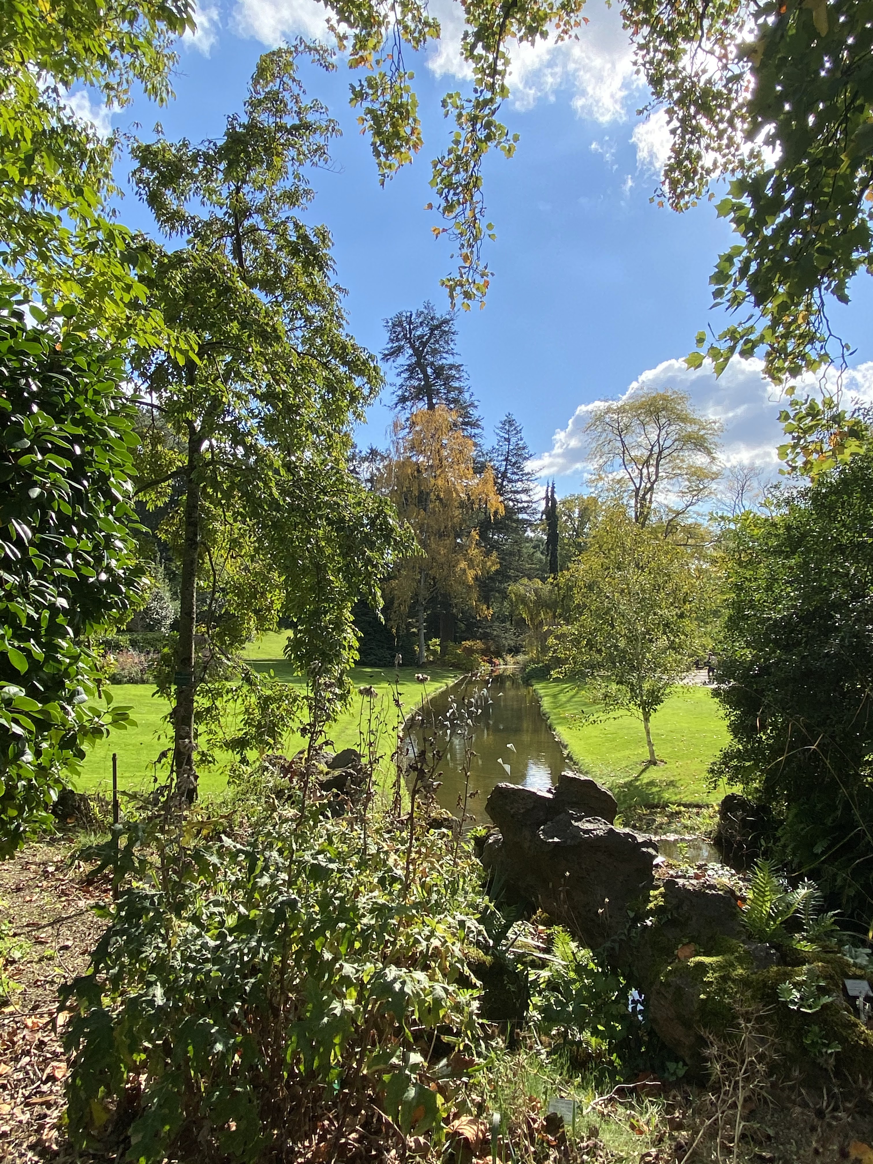 Photo n° 36 de l'avis de Bienvenu.n fait le 20/10/2020 à 03:23