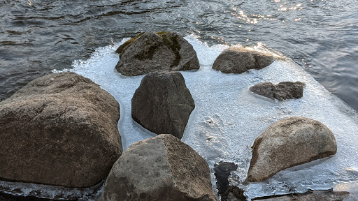 Nature Preserve «Burns-Stokes Preserve», reviews and photos, Zeeb Rd, Dexter, MI 48130, USA