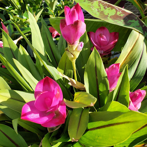 Home Improvement Store «The Home Depot», reviews and photos, 129 March Ave, Manchester, NH 03103, USA