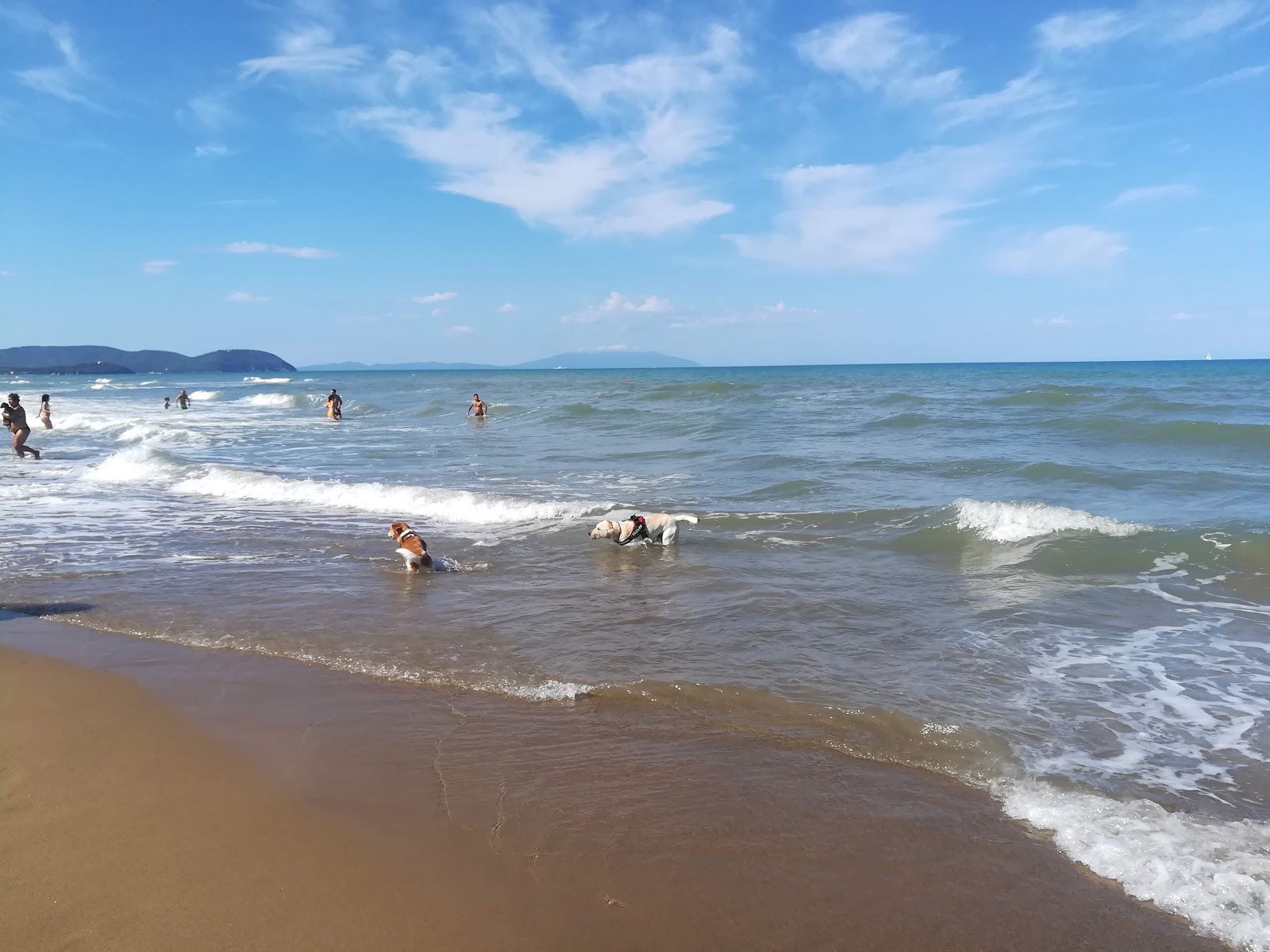 Φωτογραφία του Spiaggia di Rimigliano με επίπεδο καθαριότητας εν μέρει καθαρό