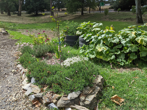 Gum Tree Community Garden