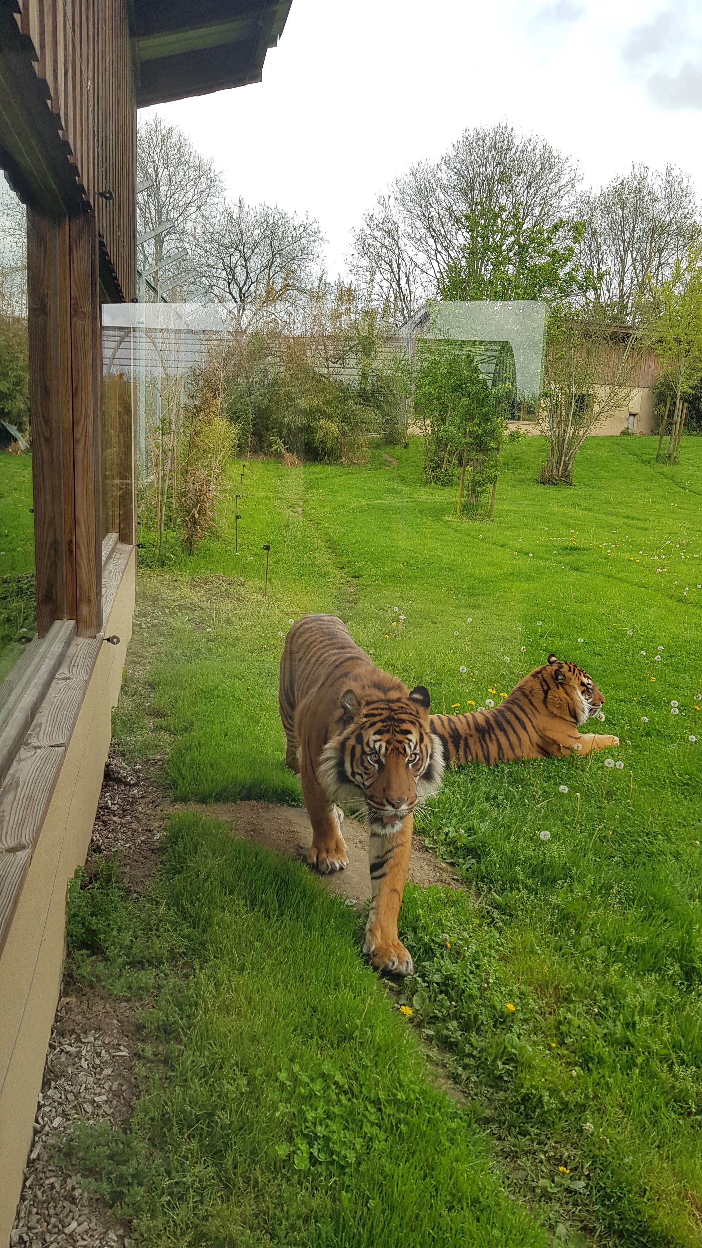 Photo n° 4 de l'avis de Youssef.k fait le 06/05/2023 à 20:23