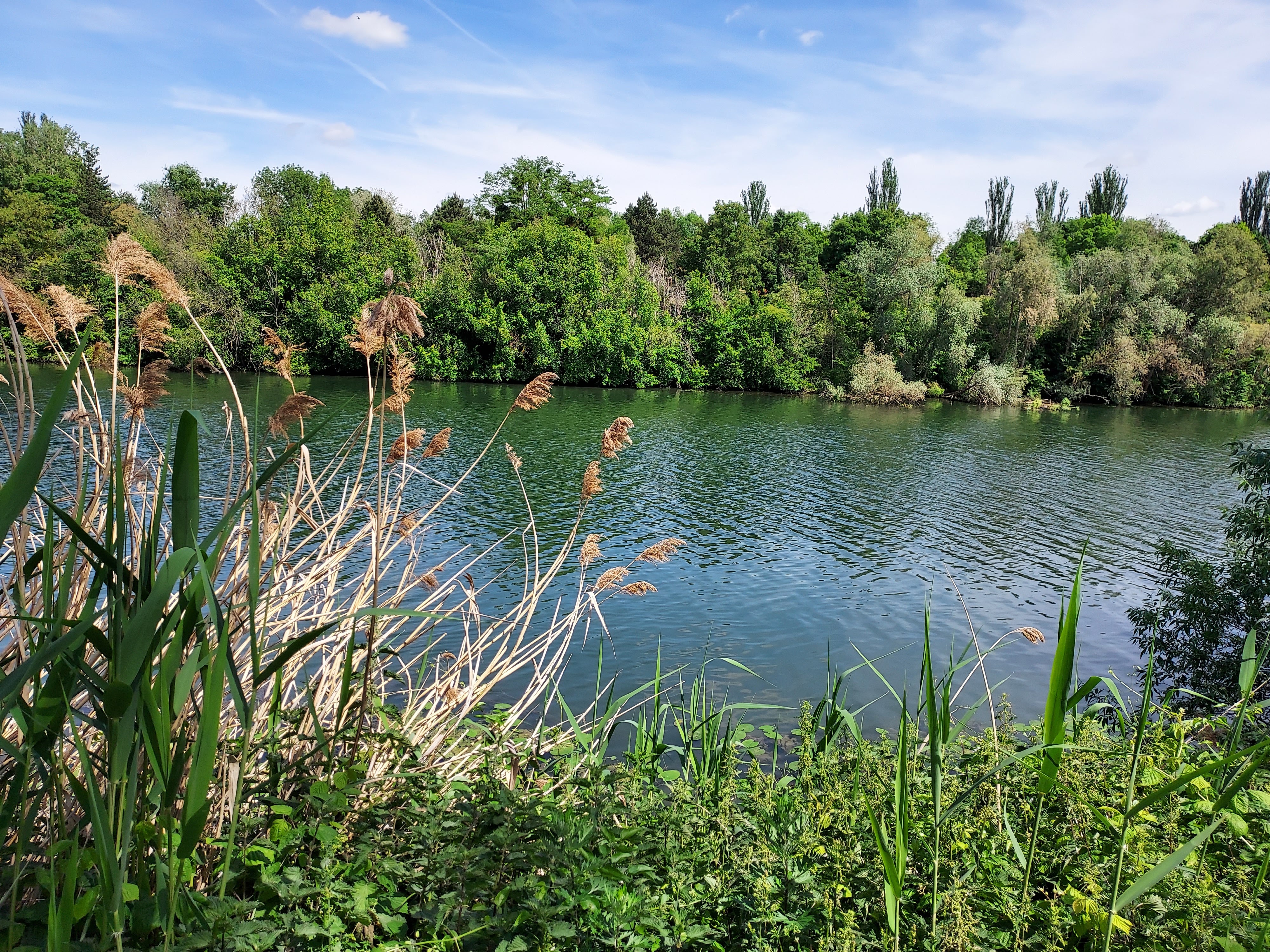 Photo n° 5 de l'avis de Viviane.a fait le 21/05/2022 à 14:29