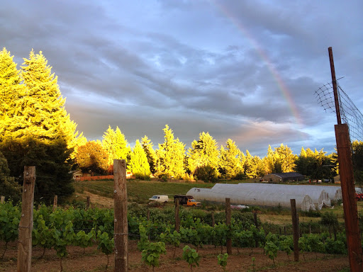 Winery «Perennial Vintners», reviews and photos, 8840 NE Lovgreen Rd, Bainbridge Island, WA 98110, USA