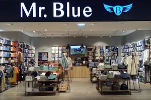 Mr. Blue image