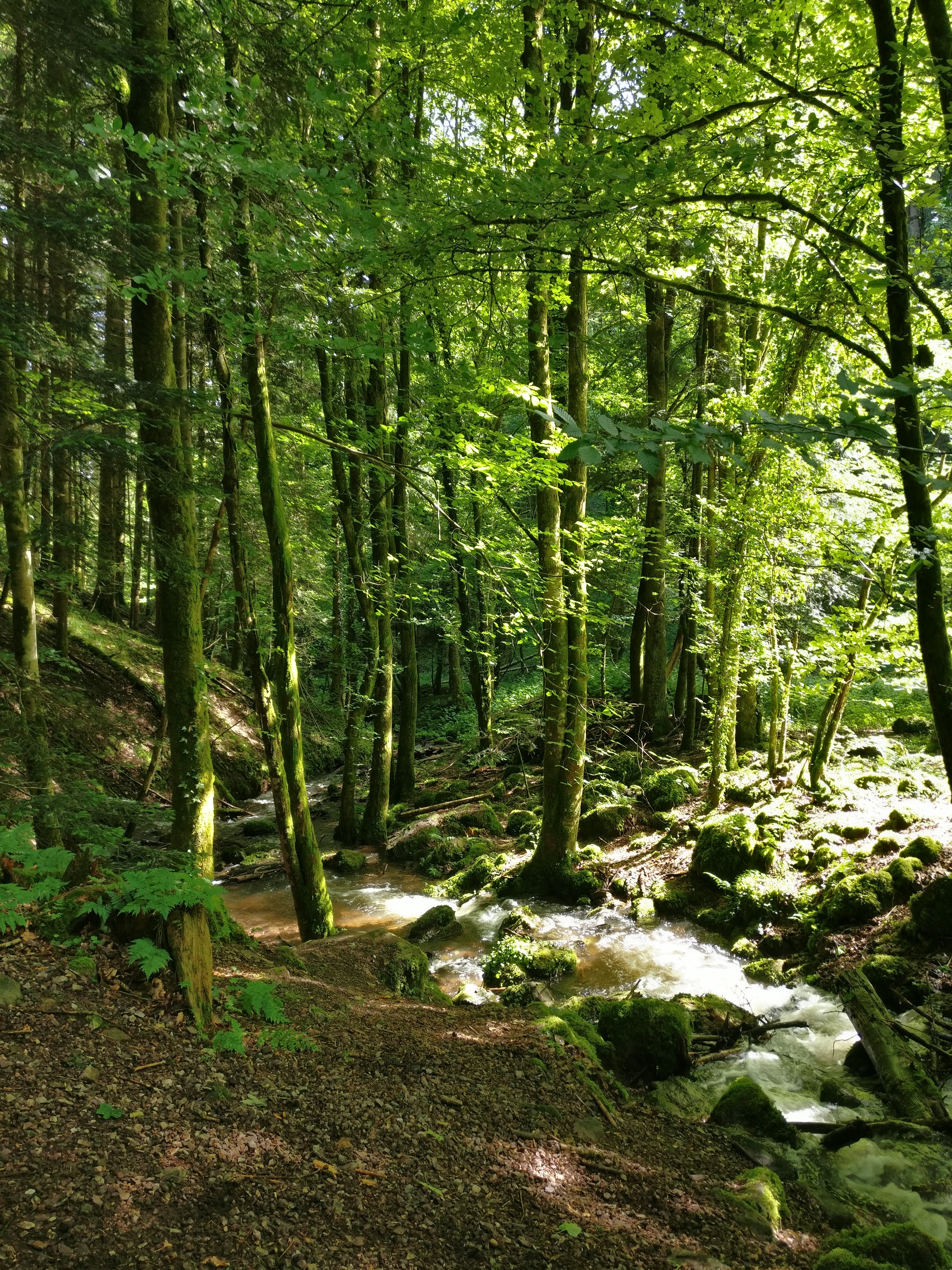 Photo n° 3 de l'avis de Garry.t fait le 05/06/2017 à 10:12