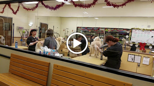 Pet Supply Store «PetSmart», reviews and photos, 637 Woodbury Glassboro Rd, Sewell, NJ 08080, USA