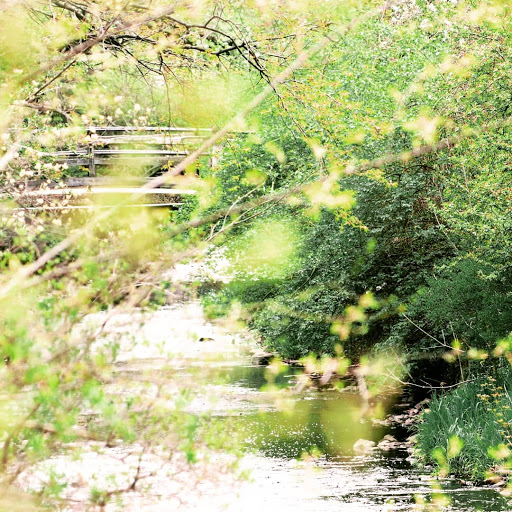 Park «Memorial Park», reviews and photos, 580 Valley St, Maplewood, NJ 07040, USA